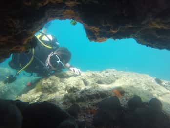 Thasos: Introductory Scuba Diving Expereince