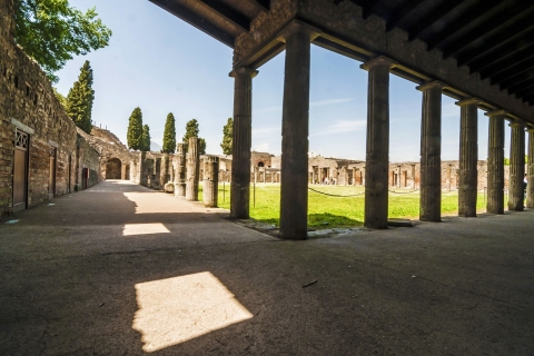 Pompeji und Sorrent Tagesausflug von Rom aus