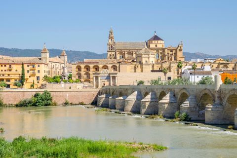 Cordoba: Mosque-Cathedral Skip-the-Line E-Ticket with Audio