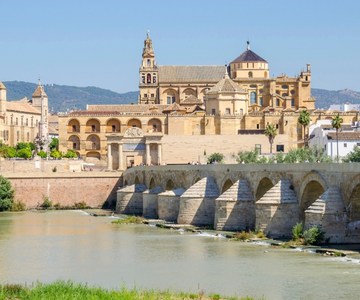 Cordoba: Mosque-Cathedral E-Ticket with Audio Tour