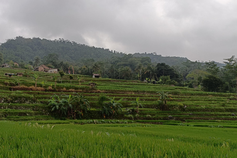 Le meraviglie naturali segrete e poco affollate di Java: 2-D tutto compresoJava fuori dai sentieri battuti: splendore coloniale e meraviglie naturali