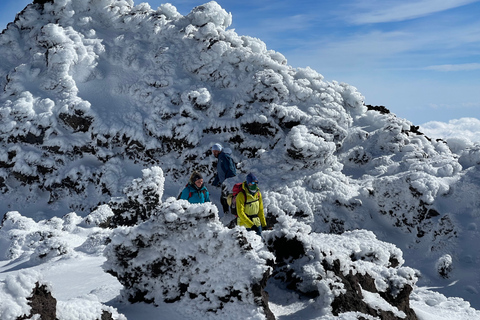 Ätna: Vulkankrater Wanderung Tour