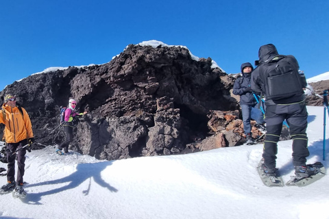 Mount Etna: Vandringstur till vulkanens kratrar