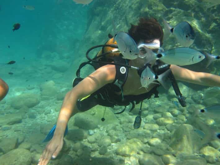 Kemer Fullday Scuba Diving and Snorkeling Experience GetYourGuide