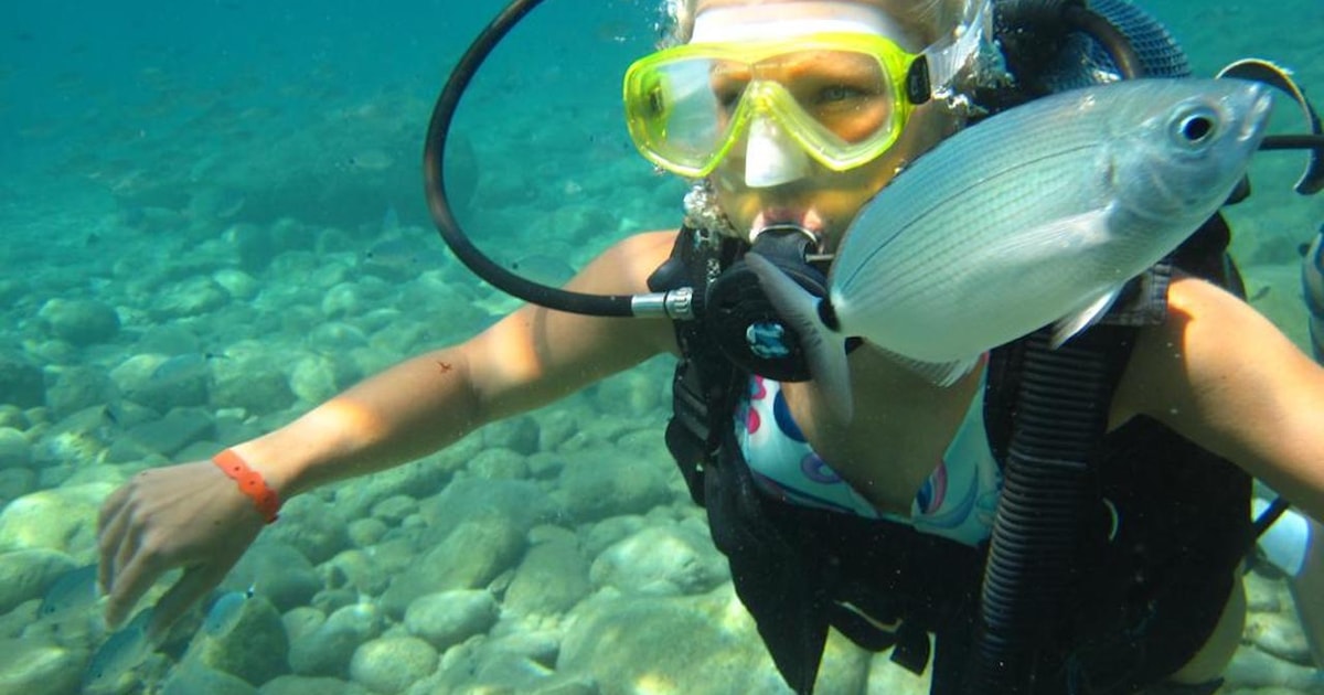 Kemer Fullday Scuba Diving and Snorkeling Experience GetYourGuide