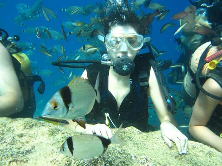 Kemer Fullday Scuba Diving and Snorkeling Experience GetYourGuide