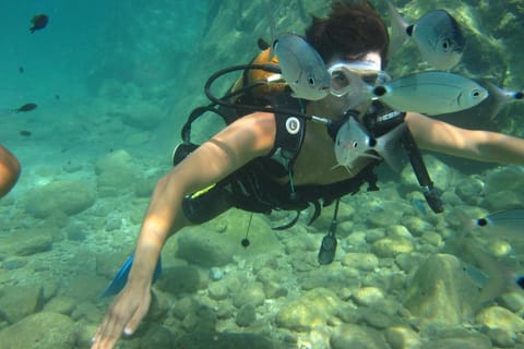 Alanya: Scuba Diving Experience with Lunch