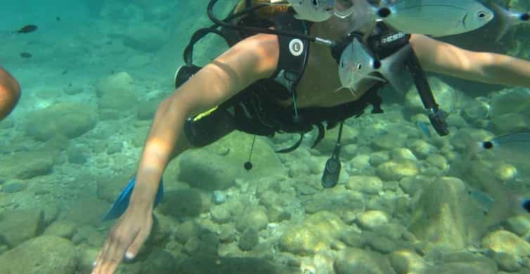 The BEST Alanya Limani Snorkeling 2023 - FREE Cancellation | GetYourGuide