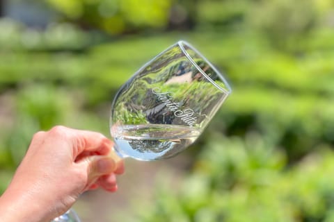 Tour classico dei vigneti di Santa Rita