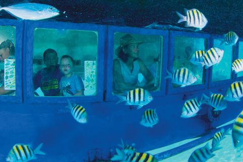 Cancún: Wycieczka autobusowa Hop-on Hop-off z wycieczką łodzią podwodną