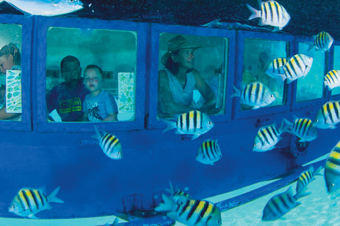 Cancún: Hop-on Hop-off Bus Tour with Submarine Trip