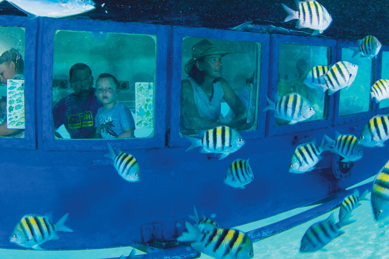 Cancún: Hop-on Hop-off Bus Tour with Submarine Trip