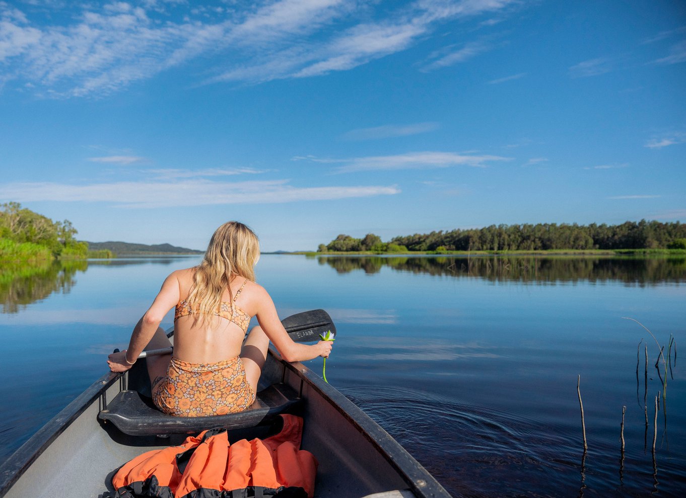 Noosa: Everglades Explorer-krydstogt med valgfri kanosejlads