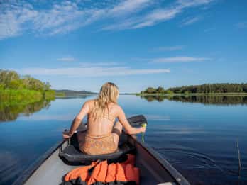 Noosa: Everglades Explorer Cruise with Optional Canoeing