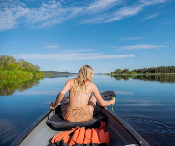 Noosa: Everglades Explorer Cruise with Optional Canoeing