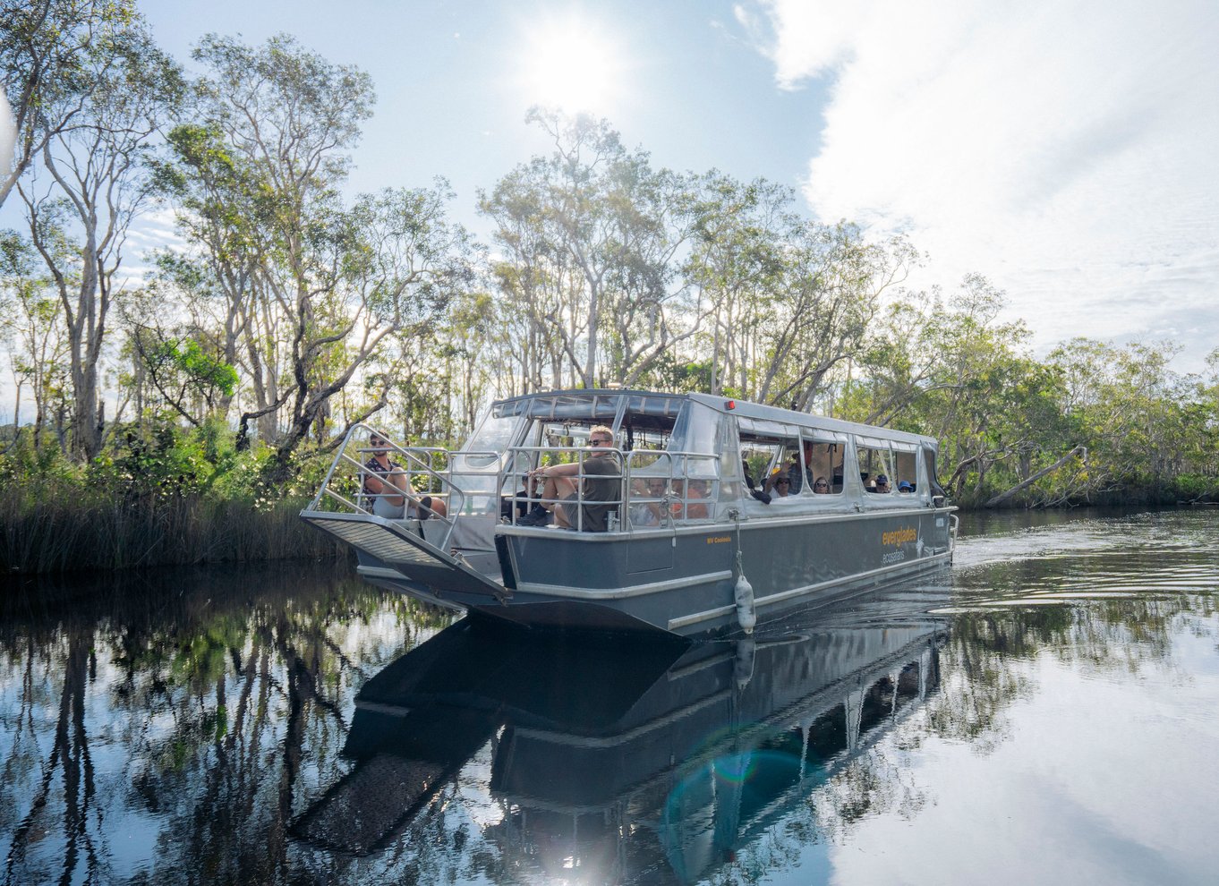 Noosa: Everglades Explorer-krydstogt med valgfri kanosejlads