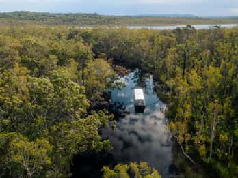 Noosa: Afternoon Cruise through the Noosa Everglades