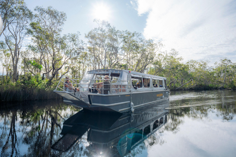 Noosa: Afternoon Cruise through the Noosa Everglades Tour from Meeting Point