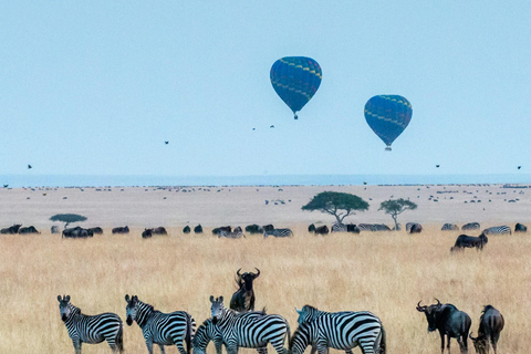 4 Day Kenya Parks Safari: Masai Mara, Lake Nakuru & Aberdare 4 Days Masai Mara & Nakuru Budget Group Joining Safari