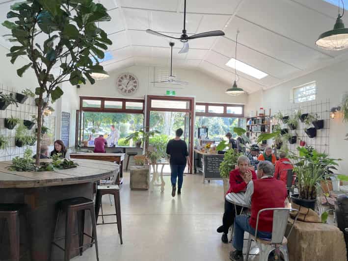 Noosa Hinterland Tour with Gourmet Lunch, Wine & Everglades GetYourGuide