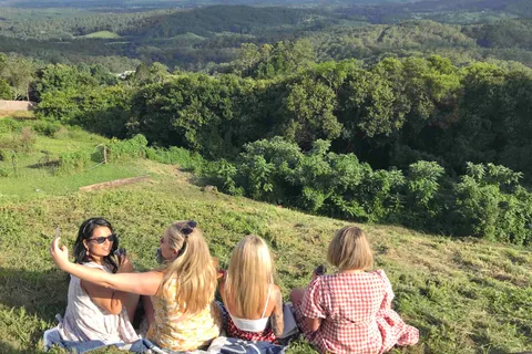 Noosa: Maleny & Montville Tour with Lunch & Wine Tasting