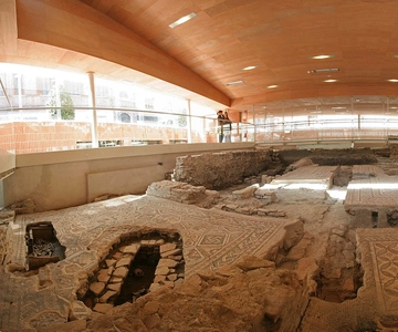 Входной билет в Domus del Chirurgo и городской музей