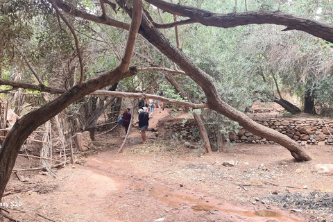 Agadir: Paradise Valley & Atlas Mountains Day Trip