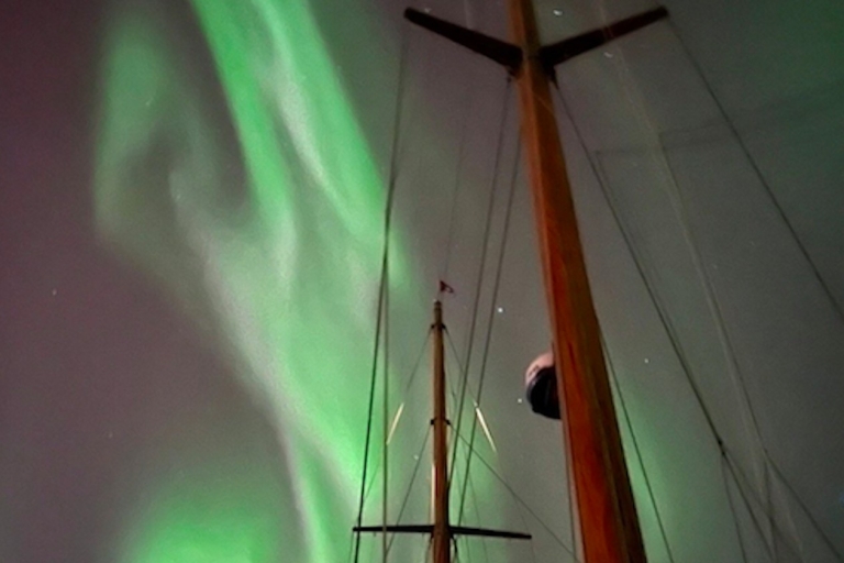 Tromso: luksusowy rejs z zorzą polarną z wanną z hydromasażem i kolacjąWycieczka grupowa
