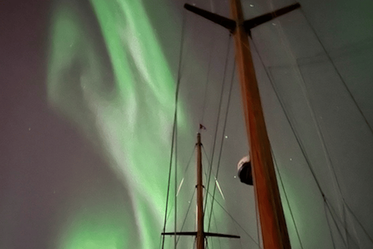 Tromso: Crucero de lujo por la Aurora Boreal con bañera de hidromasaje y cenaTour en grupo