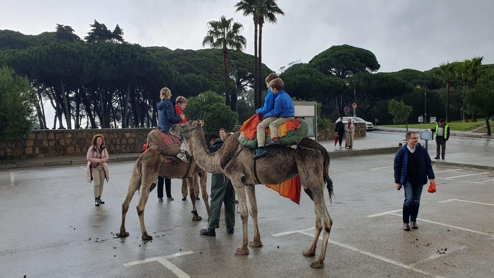 From Malaga, Tangier Day Tour with Bazaar Shopping and Lunch - Housity