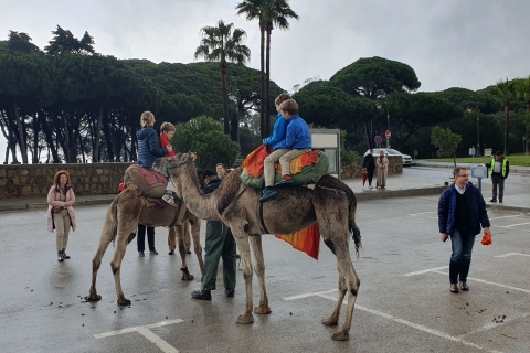 Van Malaga: Tanger-dagtour met bazaarwinkelen en lunch