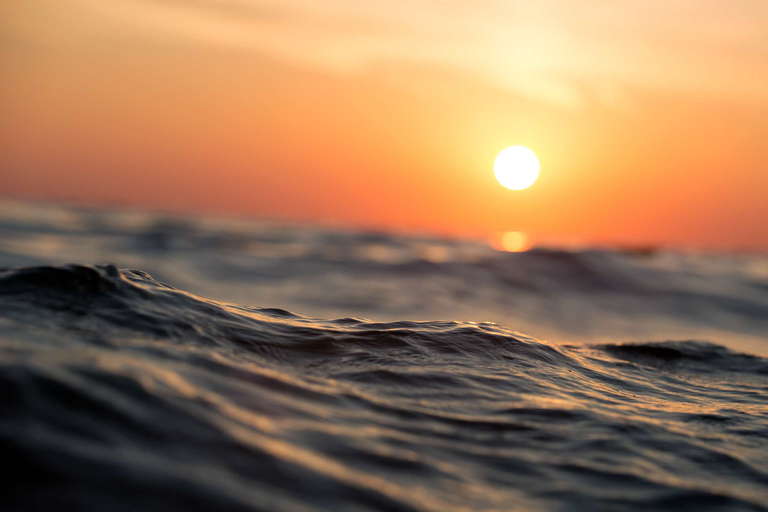 Naples: Sunset Cruise Naples Bay