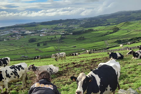 Terceira - privat grupp - halvdags guidad bussturFrån Angra do Heroísmo: Terceira Island Highlights Bus Tour