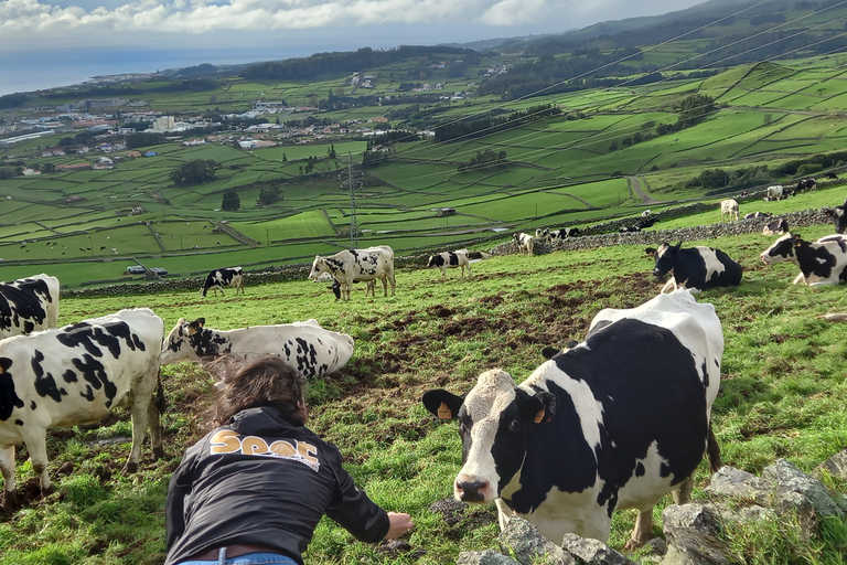 Van Angra do Heroísmo: bustour met hoogtepunten van het eiland Terceira