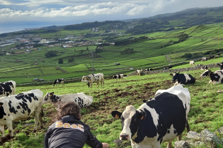 D'Angra: excursion d'une journée en 4x4 sur l'île de Terceira