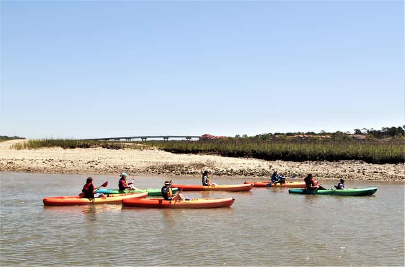Hilton Head Island Guided Kayak Tour with Coffee GetYourGuide