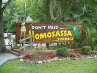 Orlando, nuotare con i lamantini e Homossa State Park Visit - Hizvo