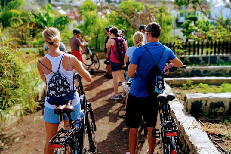 Maspalomas: visite en vélo électrique d'Ayagaures Hills et dégustation de tapasTour en vélo électrique avec tapas
