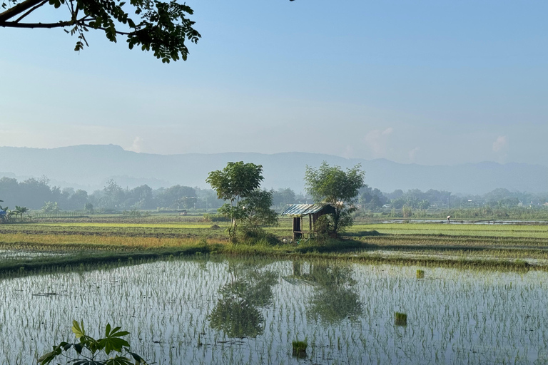 Yogyakarta: Village Cycling Tour with Local Snacks