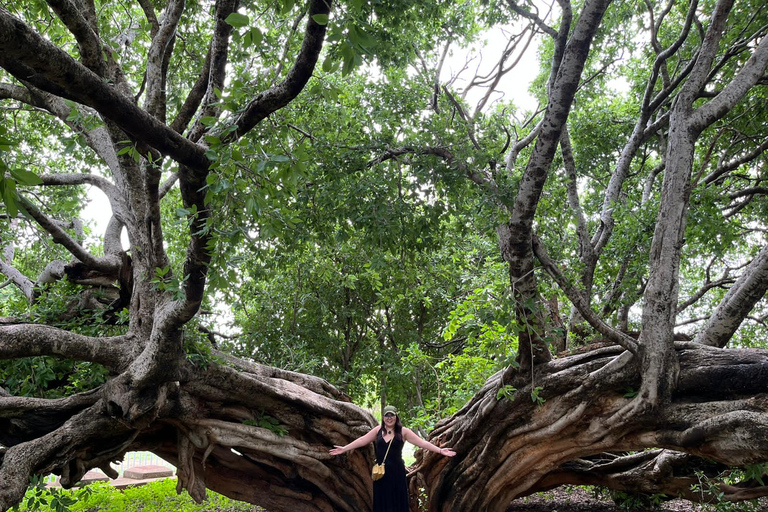 Gaborone: tour cultural de día completo y pinturas rupestres de Manyana