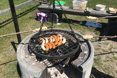 Triesenberg: Vandra med lamor i bergen