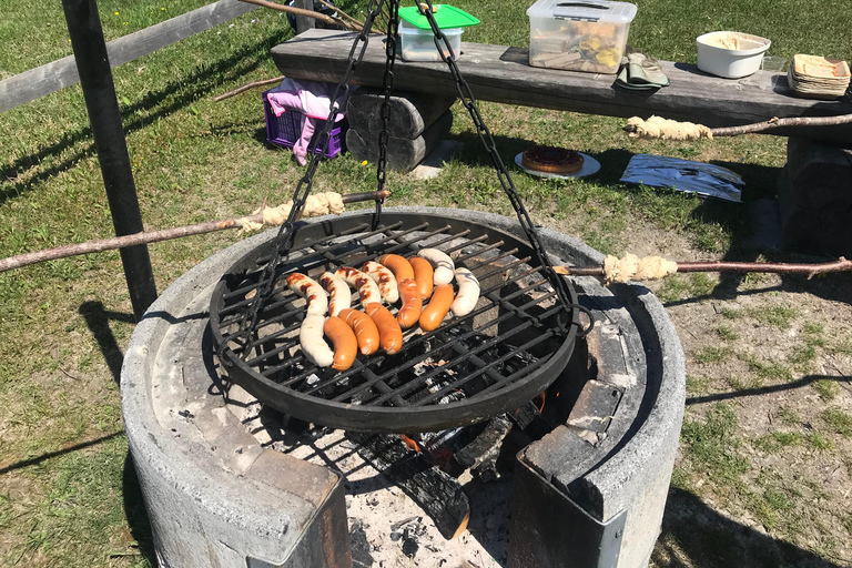 Triesenberg: Vandra med lamor i bergen