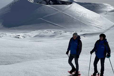 Mount Etna: Volcano Craters Hiking Tour