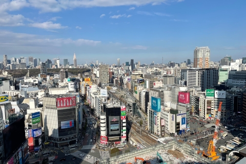 Tokio: Shibuya Highlights Walking Tour
