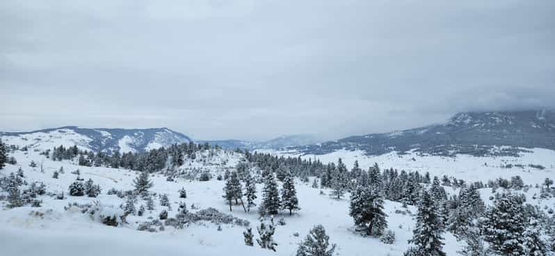 yellowstone snowmobile tours from gardiner