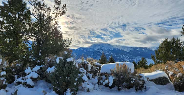 yellowstone snowmobile tours from gardiner