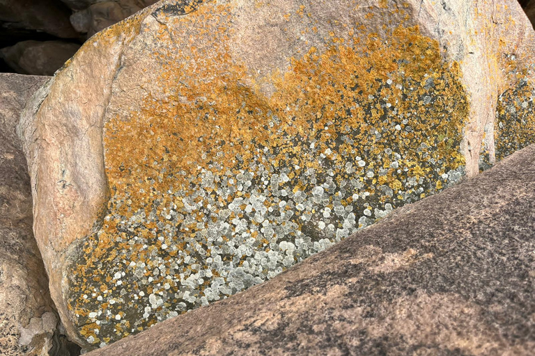 Gaborone: tour cultural de día completo y pinturas rupestres de Manyana