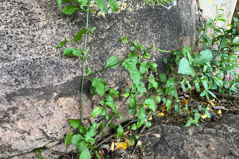 Gaborone: tour cultural de día completo y pinturas rupestres de Manyana