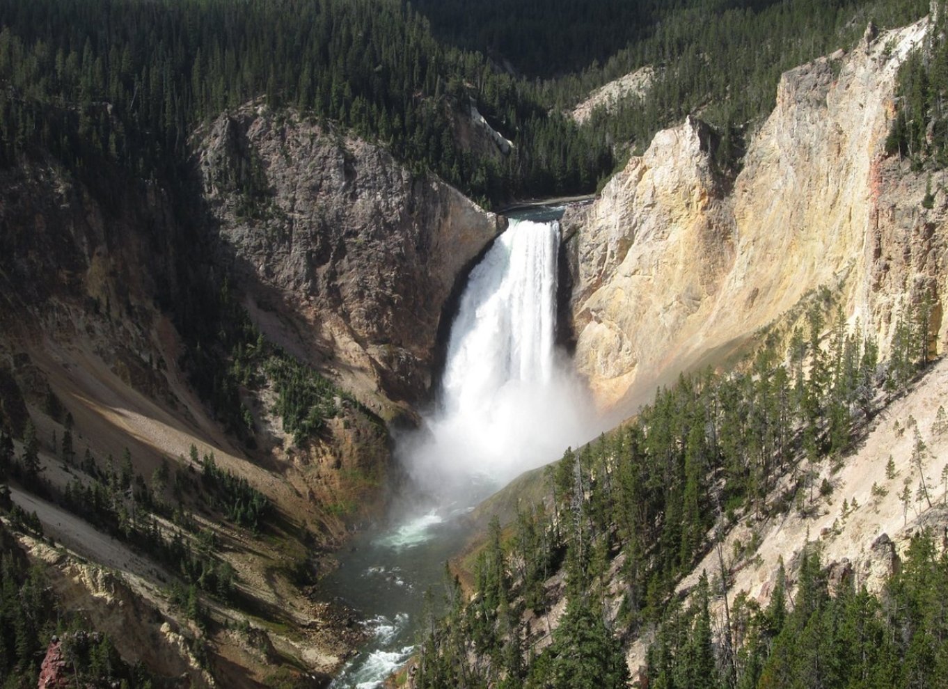 Fra Jackson: Dagsudflugt til Yellowstone National Park med frokost