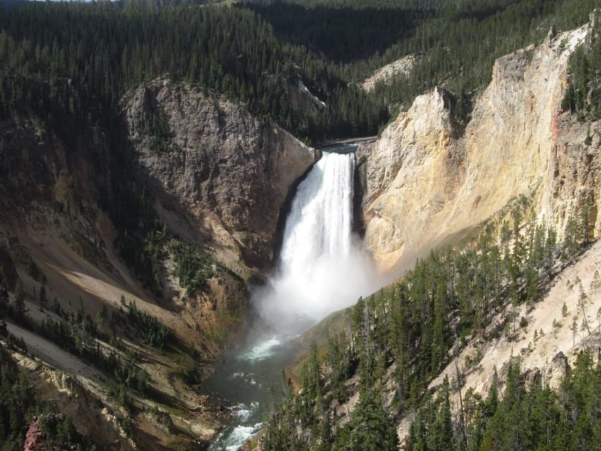 From Jackson: Yellowstone National Park Day Trip with Lunch | GetYourGuide